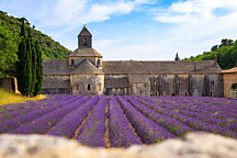 Obraz  Opátstvo Sénanque Provence s levanduľami